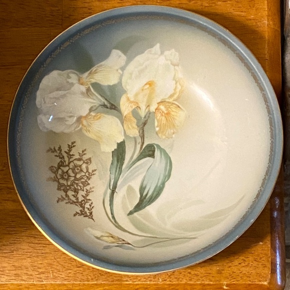RS Silesia Germany Gold Gilt Hand Painted Tulip Porcelain Bowl c.1920s 9" - Picture 12 of 16